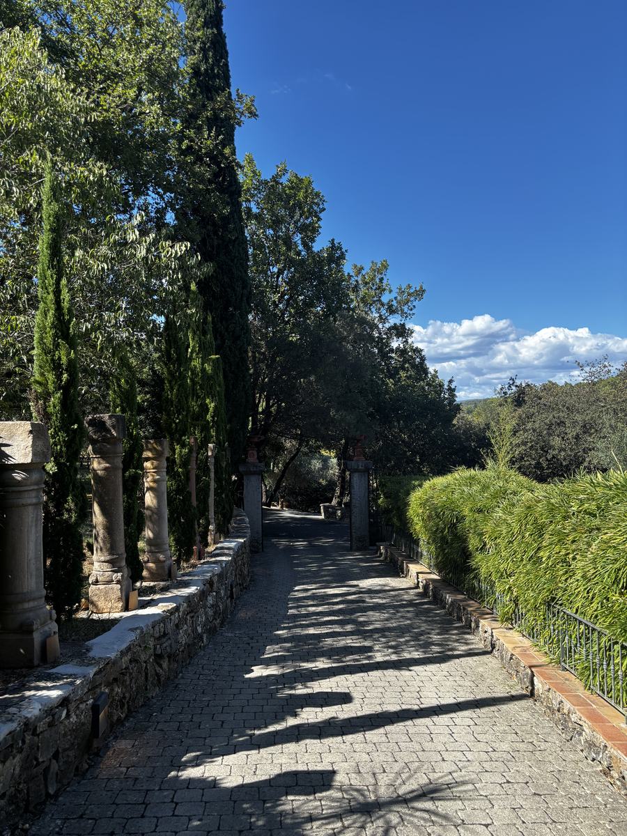 The paved drive lined with ancient columns and cypresses at the entrance to the estate.