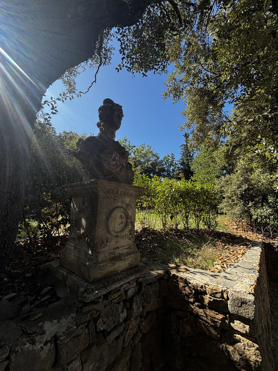 A stone bust beneath the oaks, in the morning light.