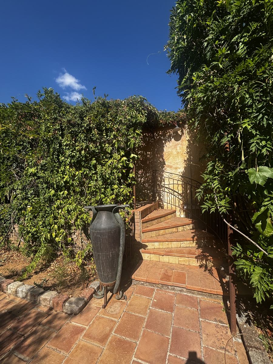 The terracotta staircase and antique amphora, beneath the greenery.